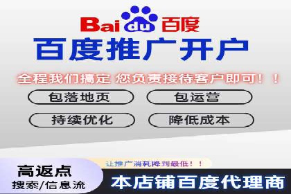 百度推广与SEO结合案例：提升网站排名的技巧